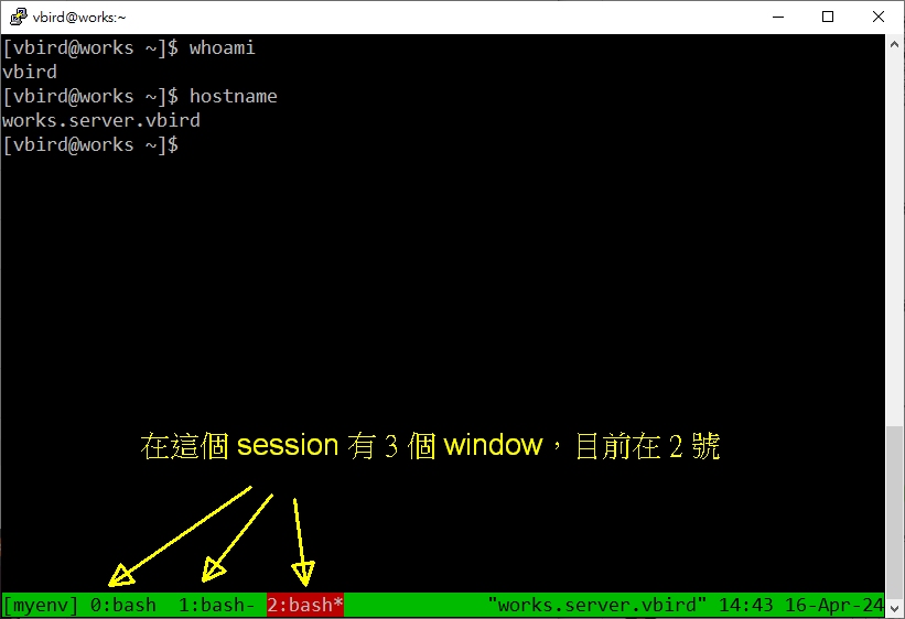 图 10.3.4-5、tmux 激活多个 window 的效果示意